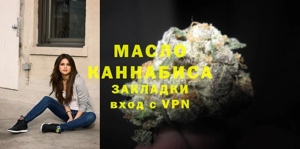 индика Нефтегорск