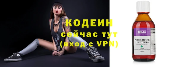 индика Нефтегорск