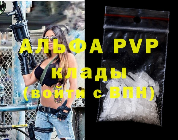 крисы Новозыбков
