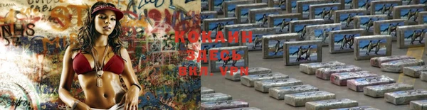 индика Нефтегорск