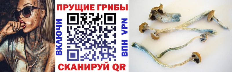 Галлюциногенные грибы прущие грибы  Боровск 